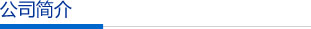 公司简介
